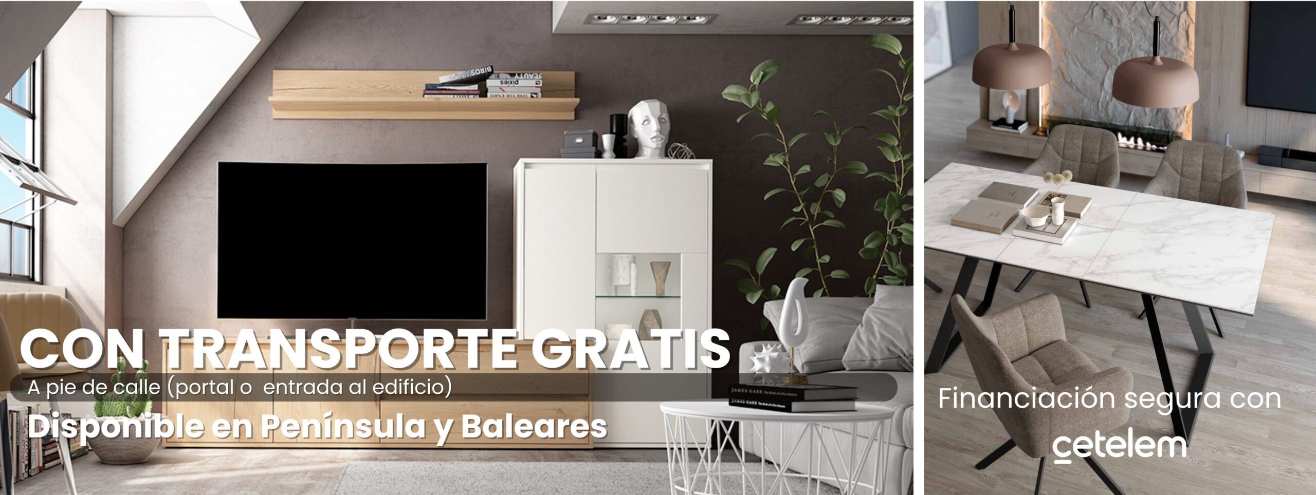 BANNER NUEVO TRANSPORTE GRATIS
